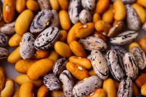 legumes-secs-bienfaits