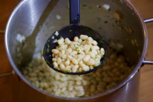 mogette de vendee benefices