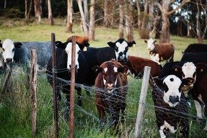 La foire de l'agriculture en 2022